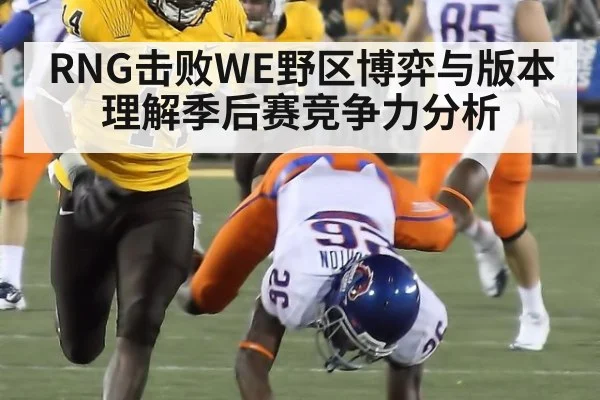 RNG击败WE野区博弈与版本理解季后赛竞争力分析